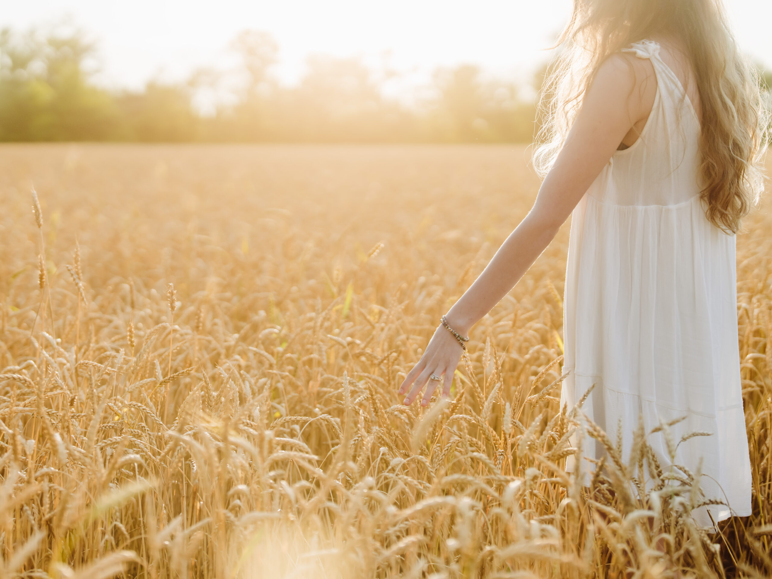 Golden hour wheat field sessions